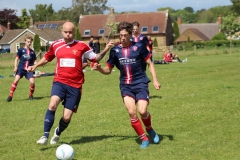 IMG_6259-FILEminimizer