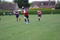 IMG_6260-FILEminimizer