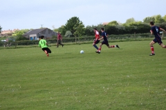 IMG_6261-FILEminimizer