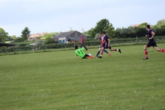 IMG_6262-FILEminimizer