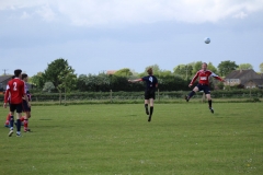 IMG_6268-FILEminimizer