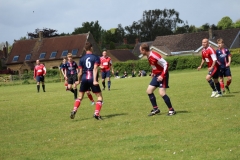 IMG_6269-FILEminimizer