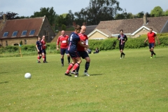 IMG_6271-FILEminimizer