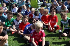 IMG_6305-FILEminimizer