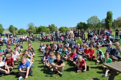 IMG_6306-FILEminimizer